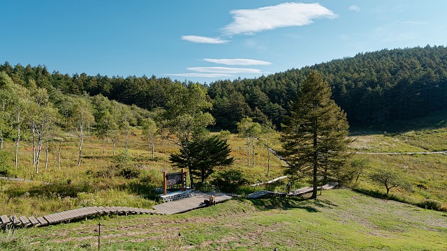 草紅葉の始まった入笠湿原
