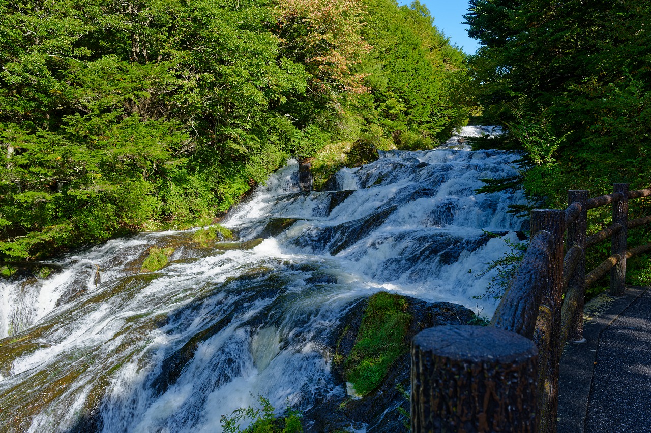 奥日光千手ヶ原・小田代ヶ原・戦場ヶ原_2025.09.21 | 横手の休日2