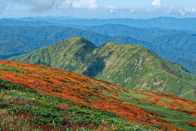 紅葉越しに湯殿山＠姥ヶ岳