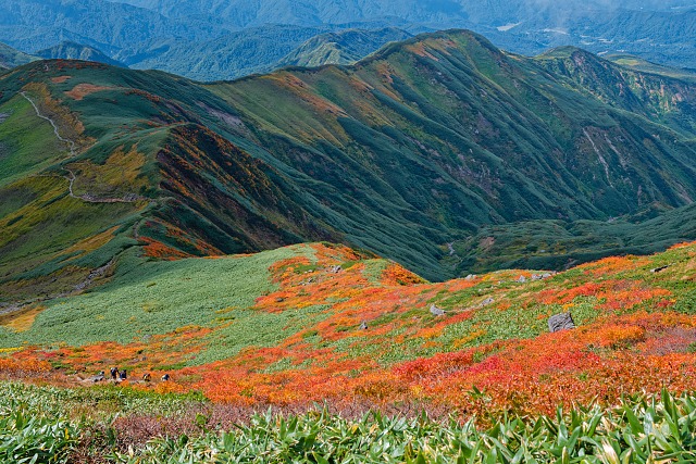 鍛治月光の紅葉を下る