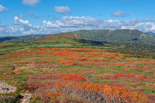 歩んできた紅葉の大地を振り返る