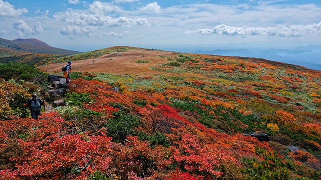 モンサンミッシェルから眺める紅葉
