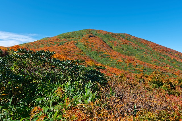 栗駒山・・紅葉の山肌