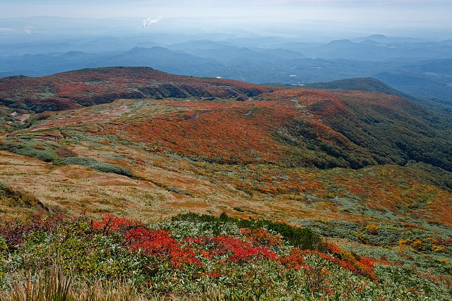 ワカカカミ平方面の紅葉を眺める＠栗駒山