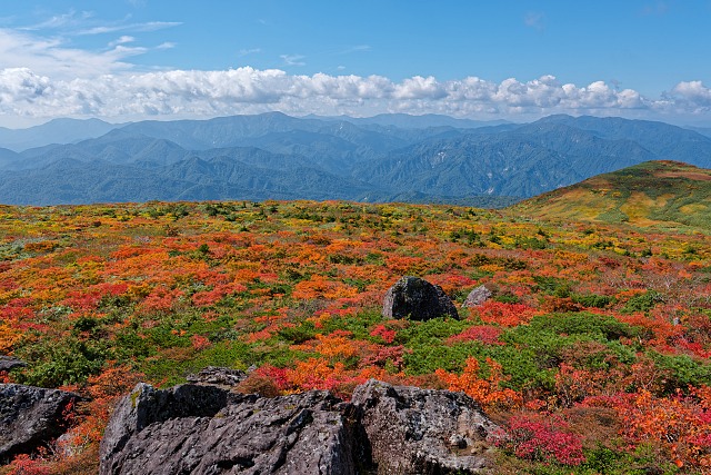 モンサンミッシェルのピークから眺める紅葉越しの山々
