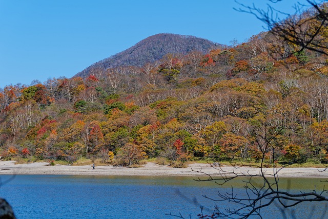 小沼湖畔の紅葉