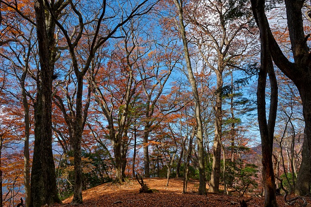 天神山・・紅葉は終盤