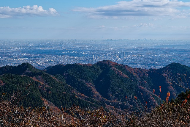 都心方面＠景信山