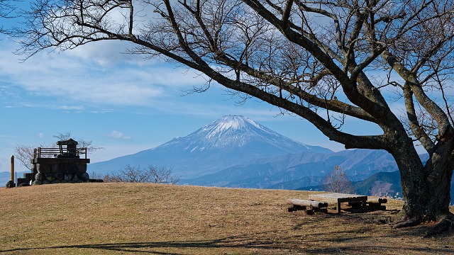 大野山から仰ぐ富士山