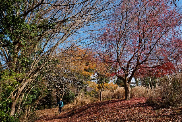 登山口へ向かう道