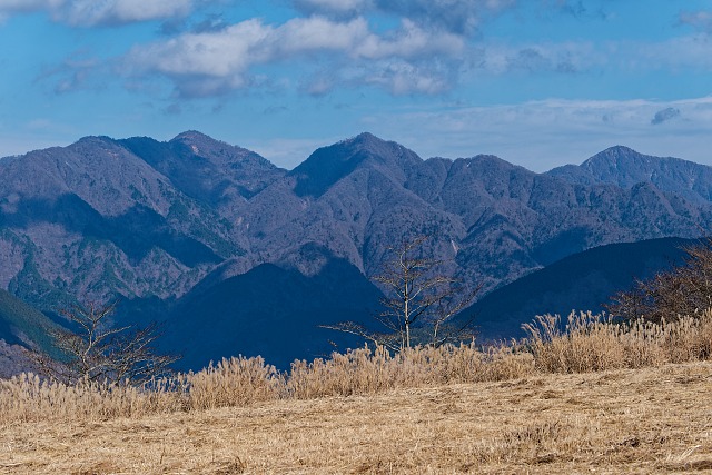 左から・・檜洞丸、同角ノ頭、蛭ヶ岳