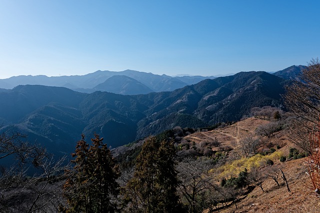 桜山山頂直下からの展望（城峯山方面）