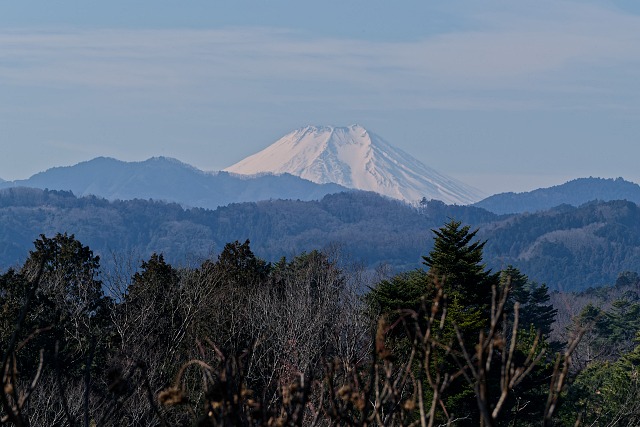 富士山＠塩船平和堪能