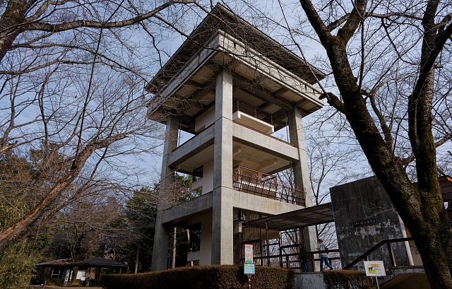 桜山展望台を見上げる