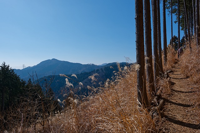 麻生山を眺めながら日の出山へ向かう
