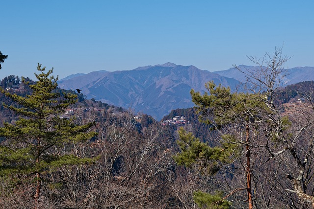 六ッ石山と鷹ノ巣山＠日の出山