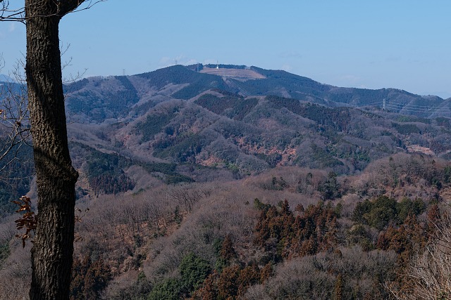 陣見山がよく見える＠鐘撞堂山