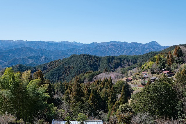 顔振峠直下から眺める武甲山・伊豆ヶ岳・長沢背稜