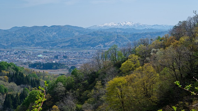 若葉の芽吹きと守門岳