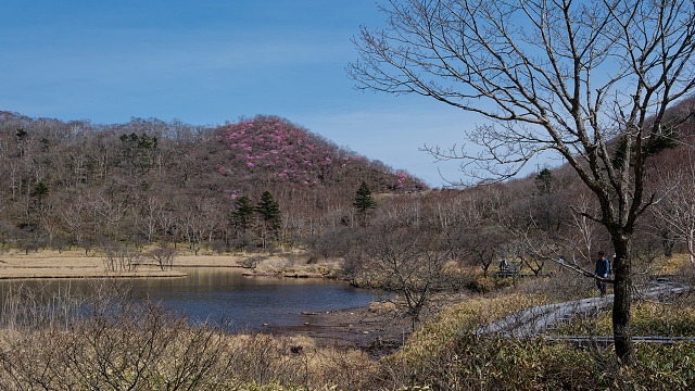 覚満淵から眺める篭山と鳥居峠
