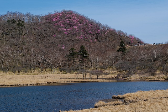 覚満淵から眺める篭山