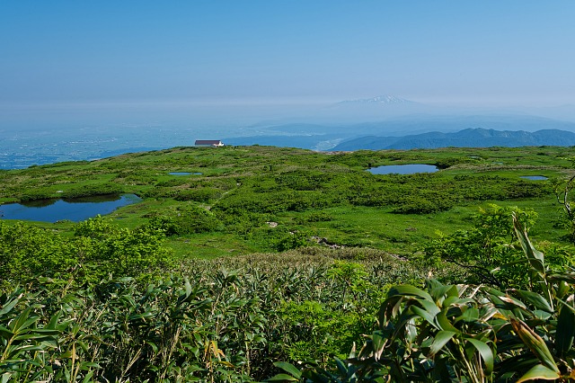 弥陀ヶ原湿原と鳥海山
