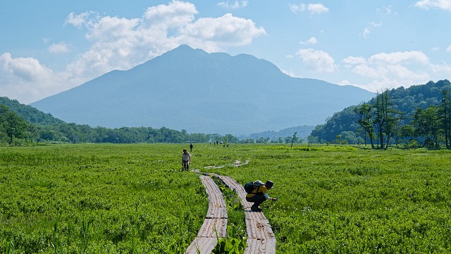 燧ヶ岳へ向かって尾瀬ヶ原を歩む