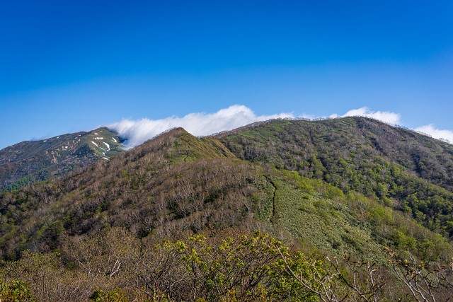 平標山へ連なる稜線を進む