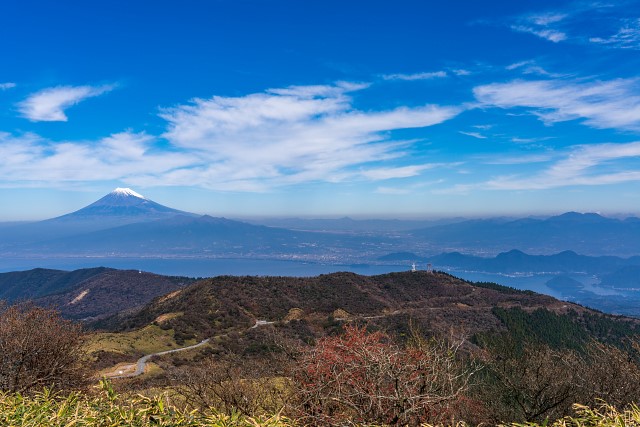 達磨山からの展望