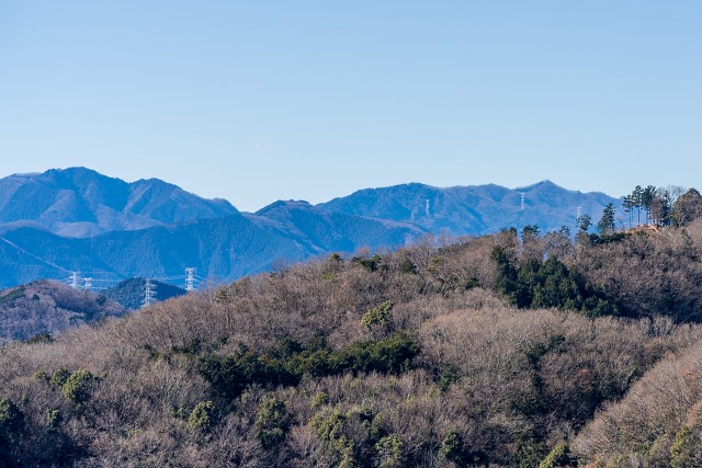 柏木山と川苔山、蕎麦粒山、棒ノ嶺@龍崖山