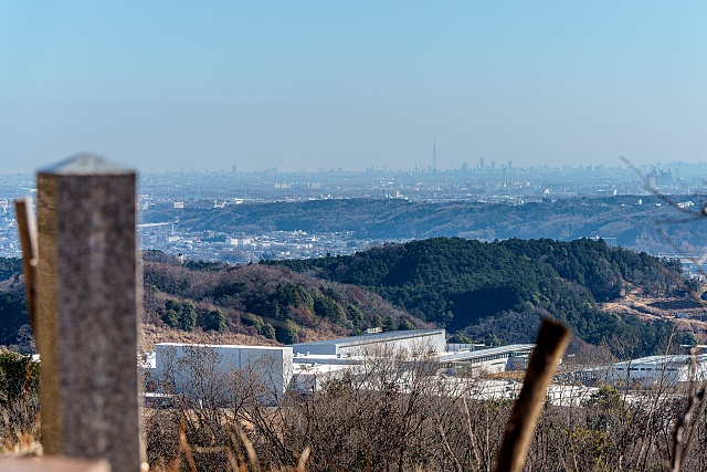 柏木山からの展望