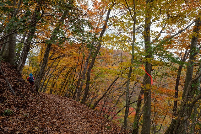 荒船山登山道序盤