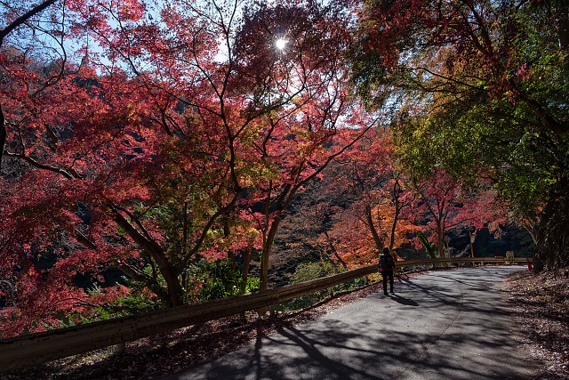 鎌北湖畔の紅葉