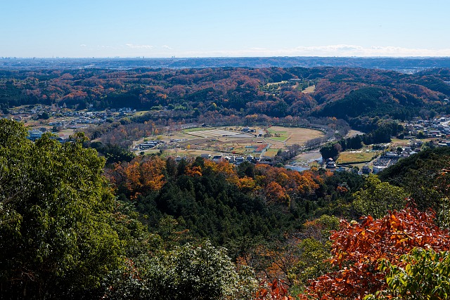 日和田山・金刀比羅神社前から眺める巾着田