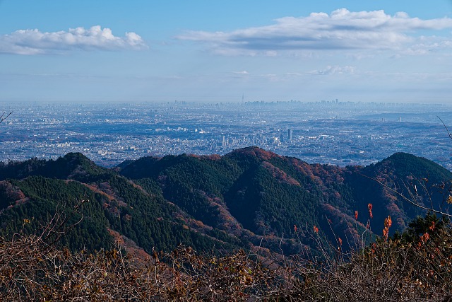 景信山から都心を眺める