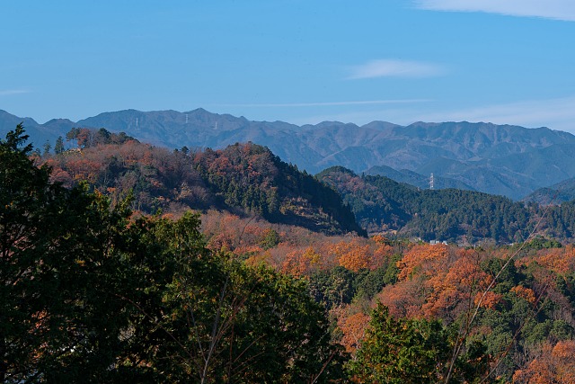 長沢背稜・有間山稜＠龍崖山