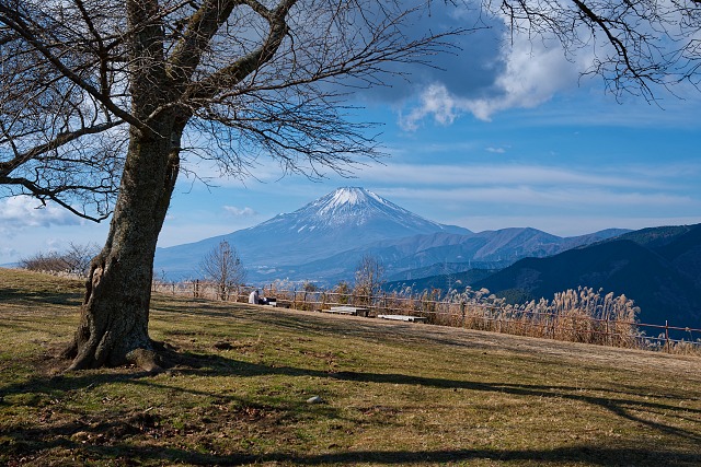 富士山＠大野山