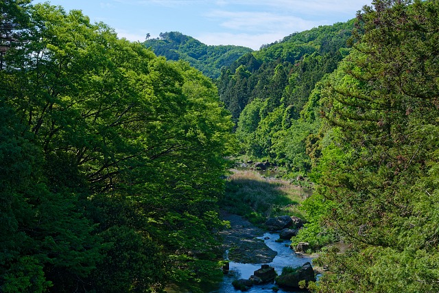 吾妻大橋から眺める入間川
